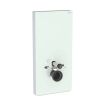 Geberit Monolith for Wall-hung WC, 101 cm, Front: Mint Glass, Sides: ALU