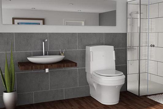 What is a Shower Toilet?